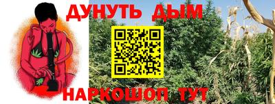 PSILOCYBIN Тулун
